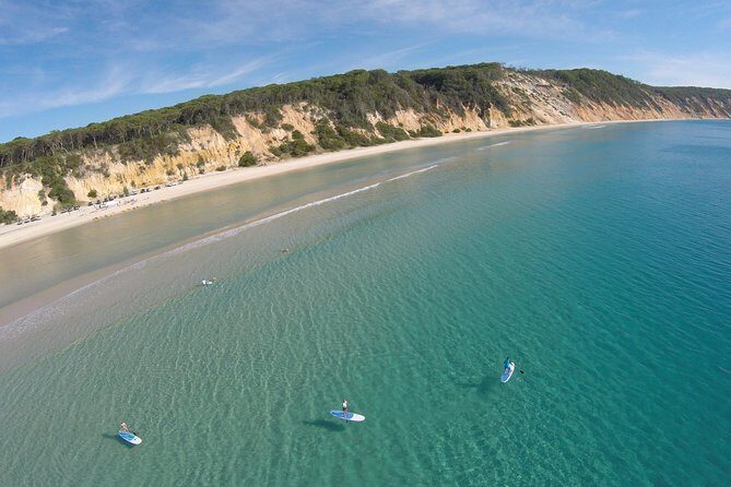 From Noosa: Stand Up Paddle Wildlife & Beach 4X4 Adventure - From Noosa: Stand Up Paddle Wildlife & Beach 4X4 Adventure – A Genuine Coastal Escape