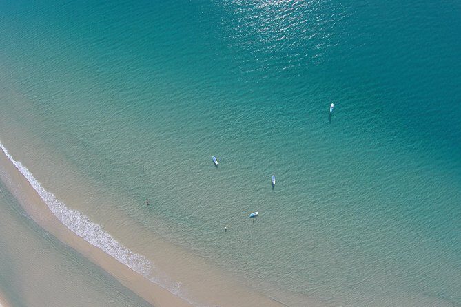 From Noosa: Stand Up Paddle Wildlife & Beach 4X4 Adventure - Key Points