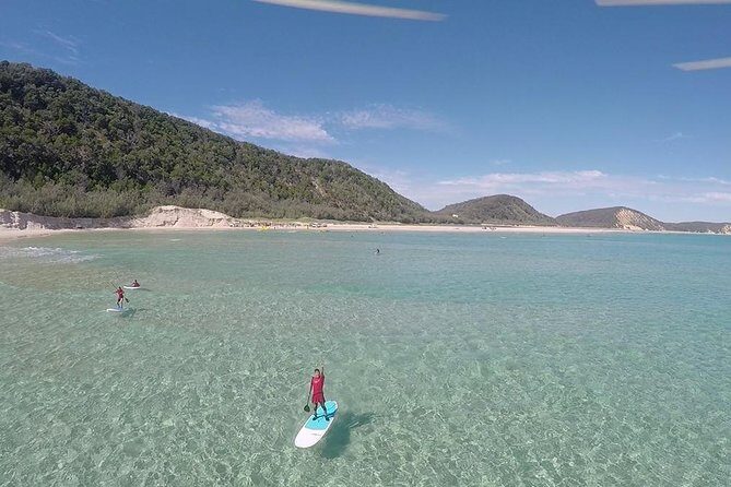 From Noosa: Stand Up Paddle Wildlife & Beach 4X4 Adventure - Who Should Consider This Tour?