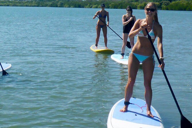 From Noosa: Stand Up Paddle Wildlife & Beach 4X4 Adventure - The Sum Up