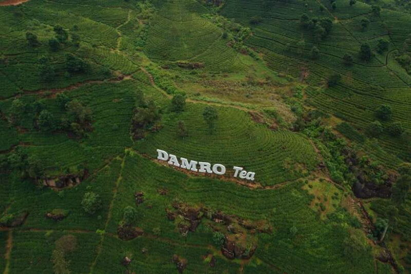 From Nuwara Eliya To Kandy Drop Tour - Key Points