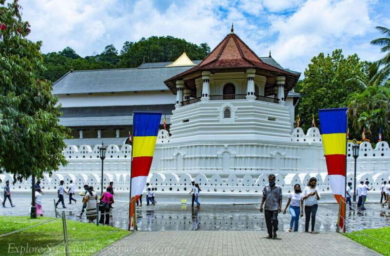 From Nuwara Eliya To Kandy Drop Tour - Final Thoughts