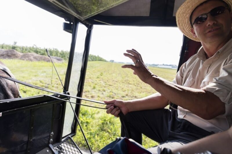 From NYC: Day Trip to Philadelphia and Amish Country - Who Should Consider This Tour?