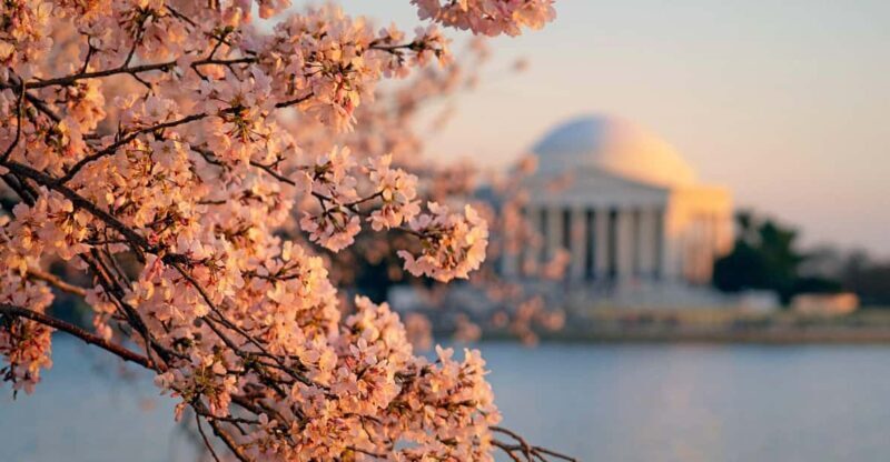 From NYC: Niagara Falls, Washington DC and Boston 4-Day Trip - A Detailed Look at What You Can Expect