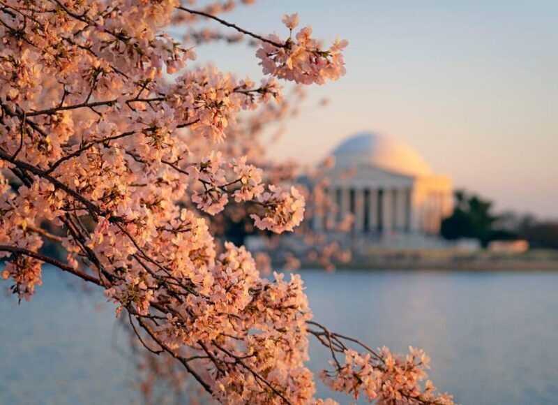 From NYC: Niagara Falls, Washington DC & Philly 3-Day Tour - Final thoughts: Is this tour right for you?