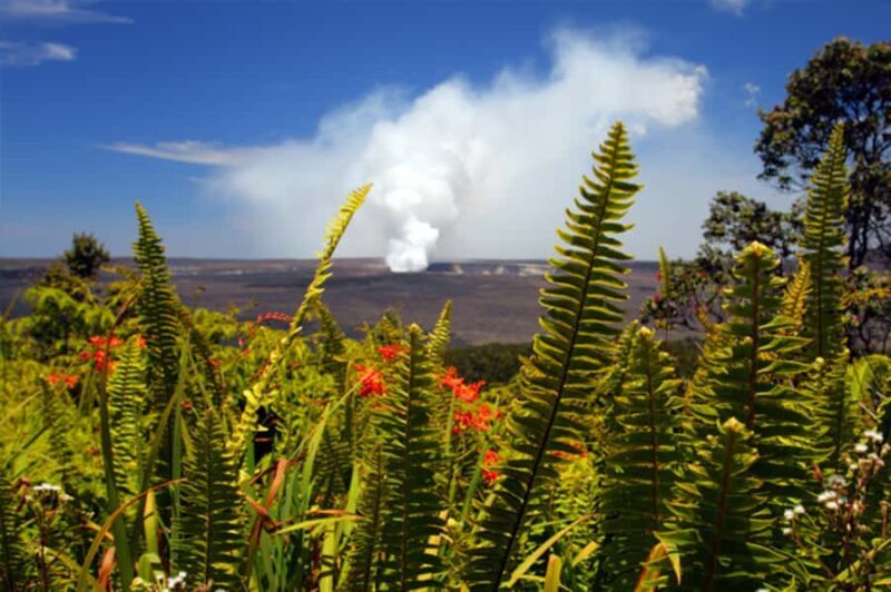 From Oahu: Big Island Volcano Adventure & Helicopter - Who Would Love This Tour?