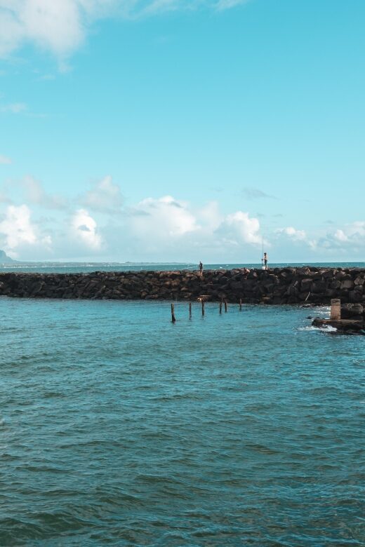 From Oahu: Kauai Highlights & Movie Sites - The Break-Down of the Kauai Highlights & Movie Sites Tour