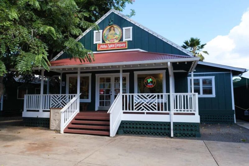 From Oahu: Kauai Waimea Canyon and Koke'e Adventure Tour - Who This Tour Is Best For