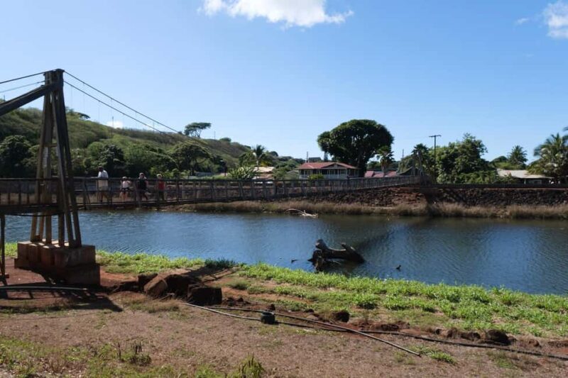 From Oahu: Kauai Waimea Canyon and Koke'e Adventure Tour - Final Thoughts