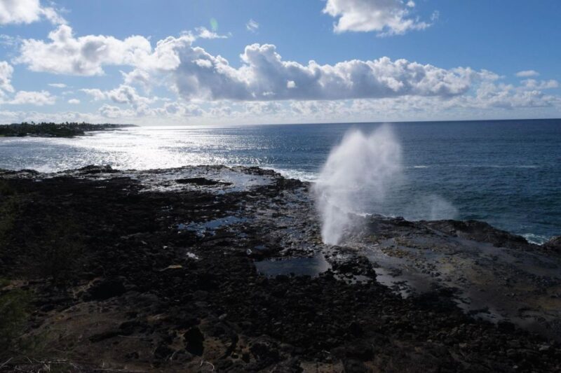 From Oahu: Kauai Waimea Canyon & Wailua River Tour - FAQ
