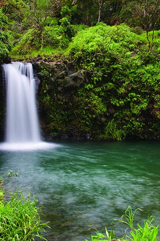 From Oahu: Maui Road to Hana Sightseeing Tour - A Full Breakdown of the Maui Road to Hana Tour