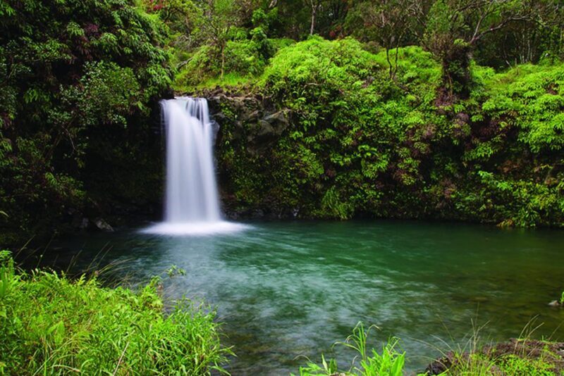 From Oahu: Maui Road to Hana Sightseeing Tour - The Sum Up: Who Should Choose This Tour?