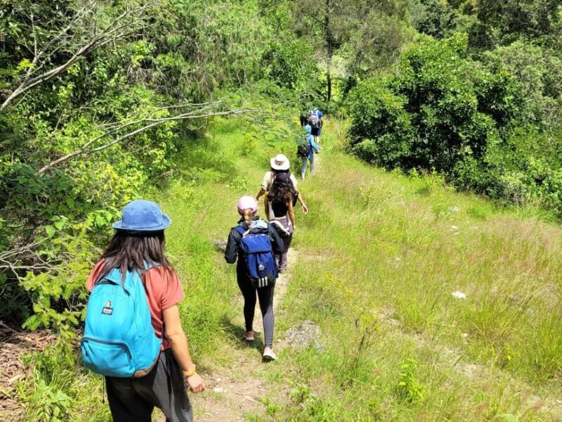 From Oaxaca: Apoala Magic Waterfalls Hike & Swim Adventure - Key Points