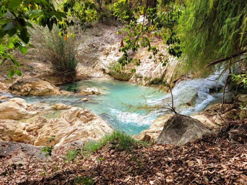 From Oaxaca: Apoala Magic Waterfalls Hike & Swim Adventure - The Overnight Experience: A Unique Glimpse into Nature