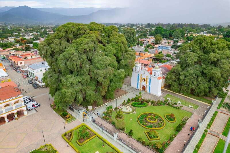 From Oaxaca: City, Mitla, and Mezcal Factory Tour - From Oaxaca: City, Mitla, and Mezcal Factory Tour
