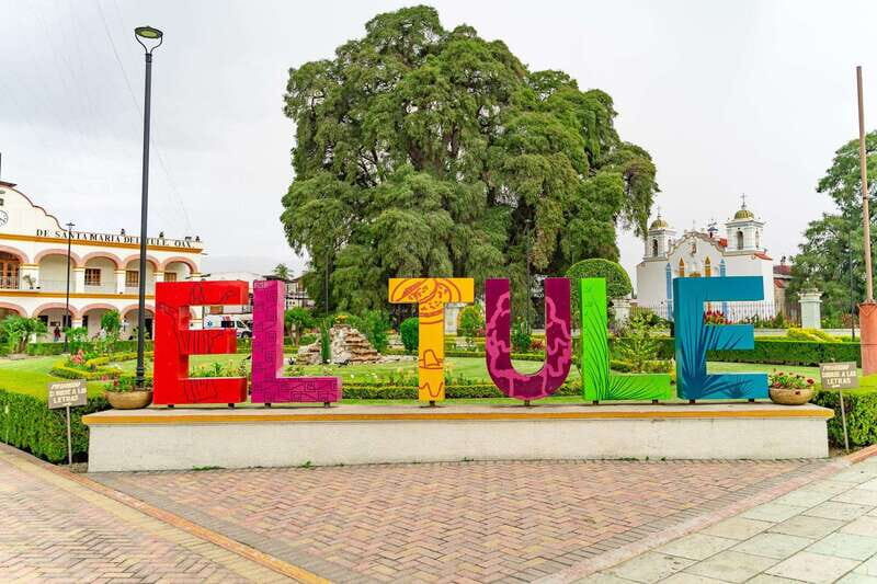 From Oaxaca: City, Mitla, and Mezcal Factory Tour - Practical Details That Matter