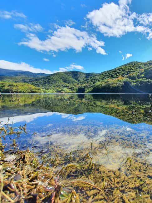 From Oaxaca: MTB Guided Bike Tour, Tule Tree & Lake Half-Day - An Authentic Bike Adventure in Oaxaca’s Countryside