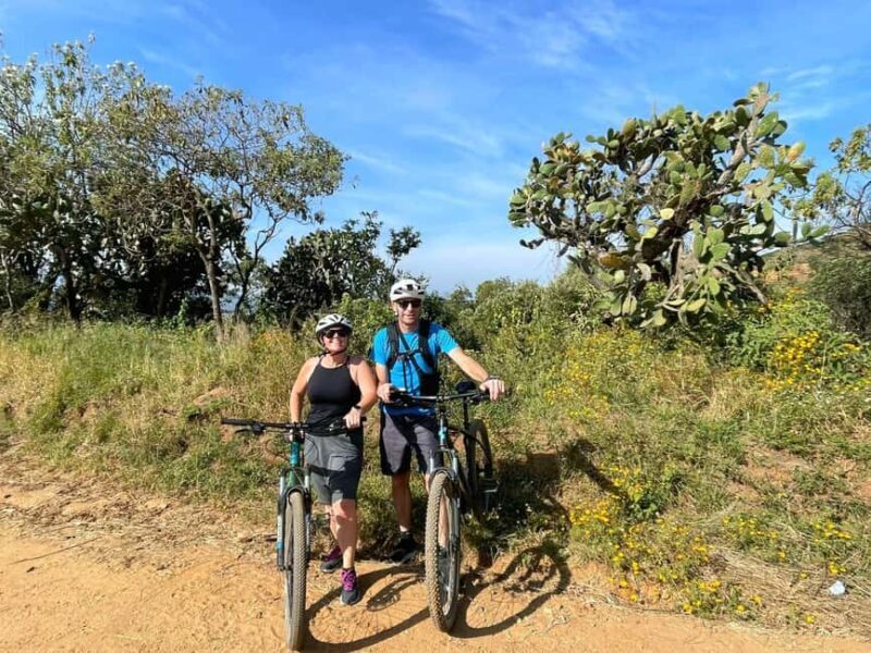 From Oaxaca: MTB Guided Bike Tour, Tule Tree & Lake Half-Day - Detailed Breakdown of the Itinerary