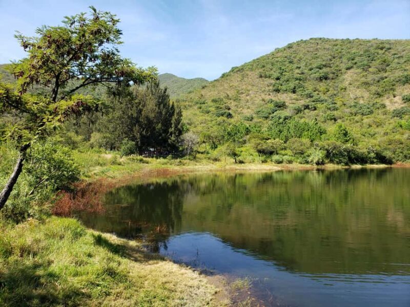 From Oaxaca: MTB Guided Bike Tour, Tule Tree & Lake Half-Day - The Value of This Experience