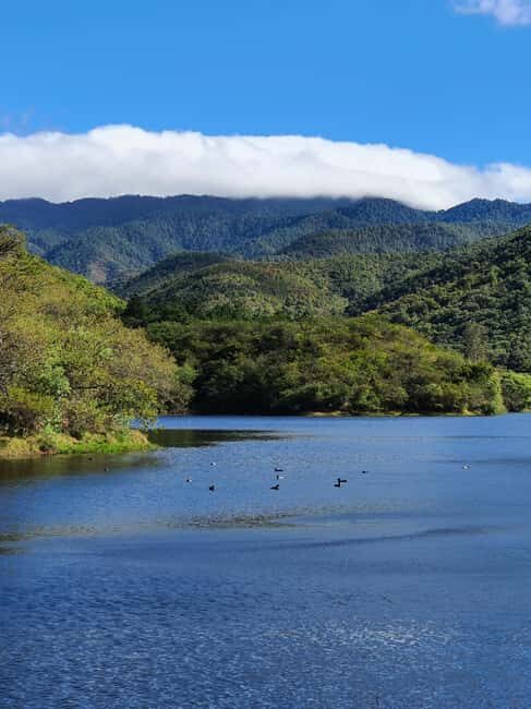 From Oaxaca: MTB Guided Bike Tour, Tule Tree & Lake Half-Day - Final Thoughts