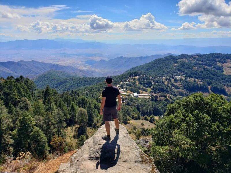 From Oaxaca: Sierra Norte Hike & Indigenous Village Full-Day - The Guided Hike into the Cloud Forest