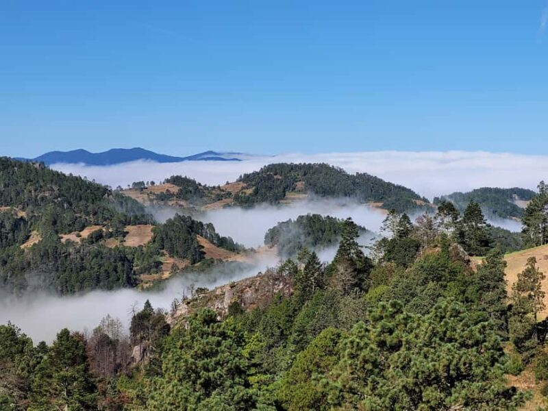 From Oaxaca: Sierra Norte Hike & Indigenous Village Full-Day - Visiting an Indigenous Village