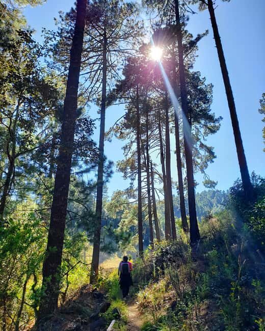 From Oaxaca: Sierra Norte Hike & Indigenous Village Full-Day - Authentic Mountain Cuisine for Lunch