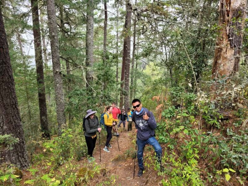 From Oaxaca: Sierra Norte Hike & Indigenous Village Full-Day - Returning to Oaxaca