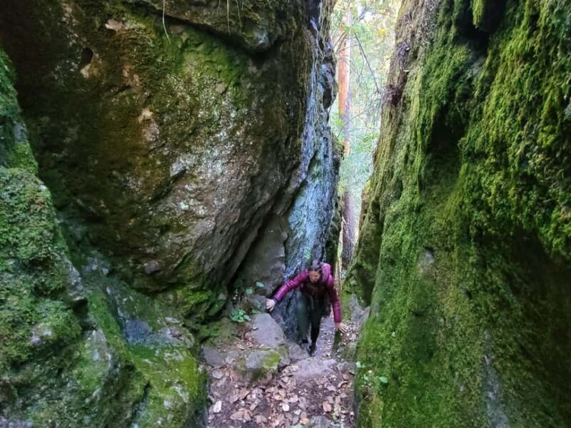 From Oaxaca: Sierra Norte Hike & Indigenous Village Full-Day - Suspension Bridge Adventure