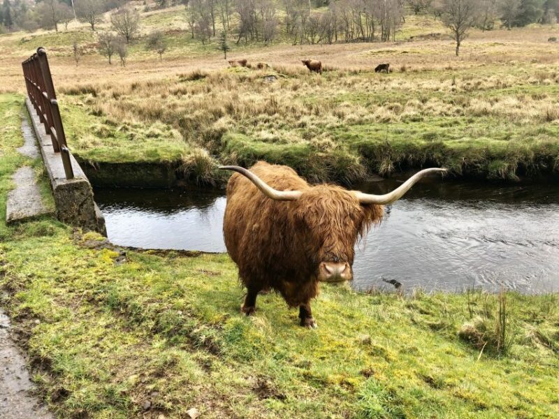 From Oban Glencoe and Castles Tour - Key Points