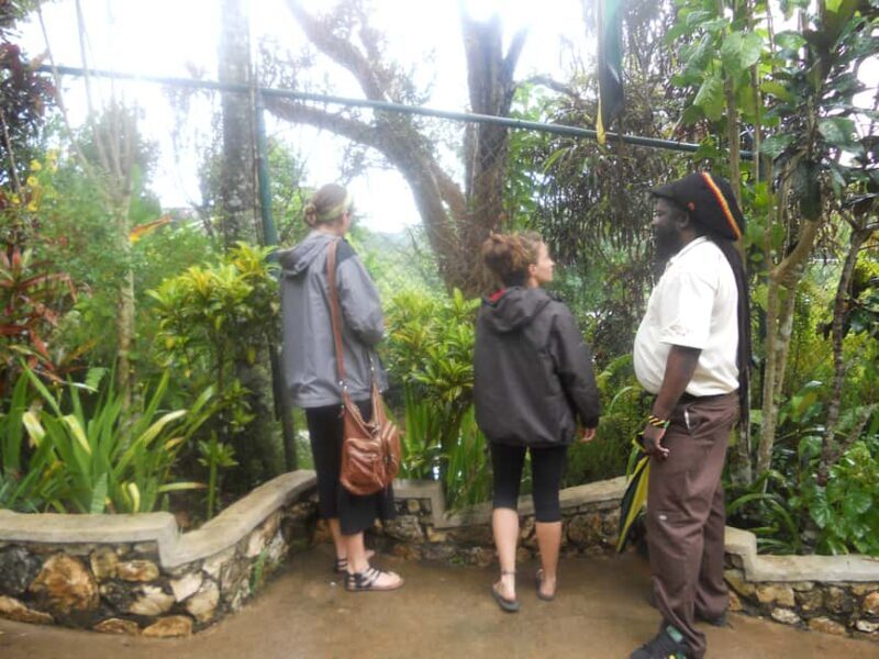 From Ocho Rios: Bob Marley & Dunns River Falls 6/7Hour Tour - From Ocho Rios: Bob Marley & Dunns River Falls 6/7-Hour Tour