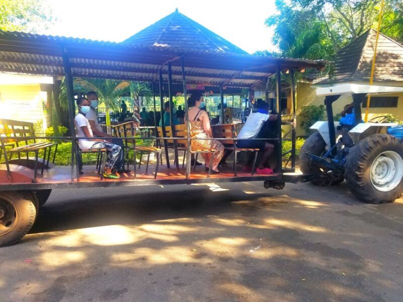 From Ocho Rios: Flavors of Jamaica Guided Food Tour - FAQs