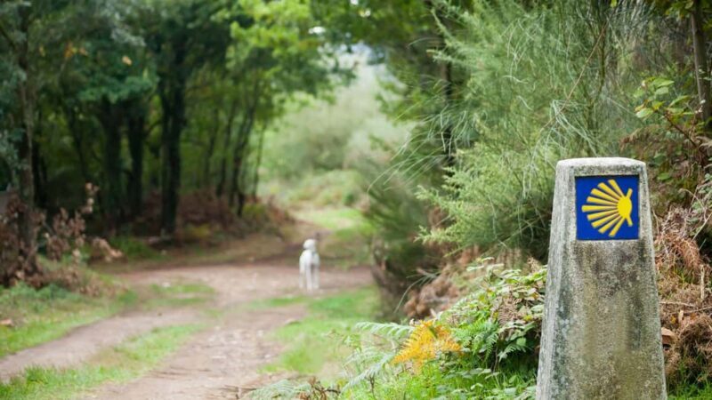 From Oia: 9-Day Guided Camino Walking Tour to Santiago - Practical Details That Matter