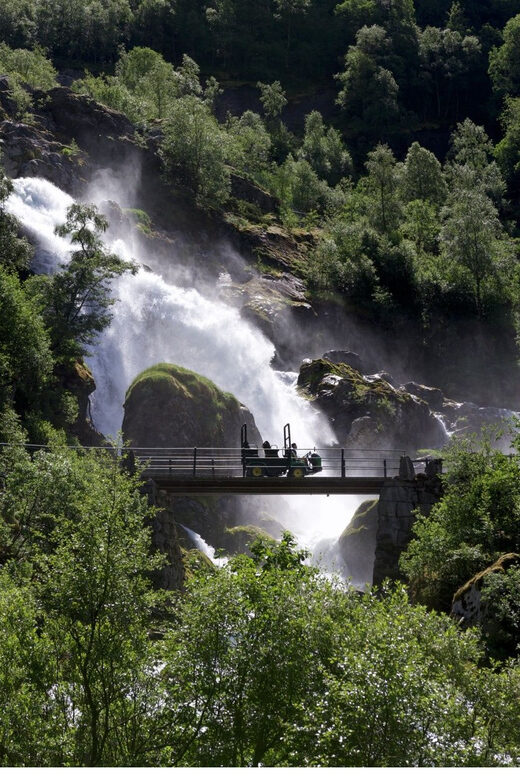 From Olden: Briksdal Glacier Guided Hiking Shore Excursion - Wrapping Up