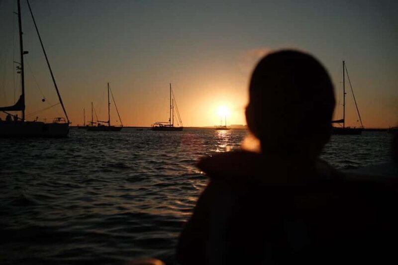 From Olhão: Ria Formosa Sunset Island Boat Tour - Who Should Consider This Tour?