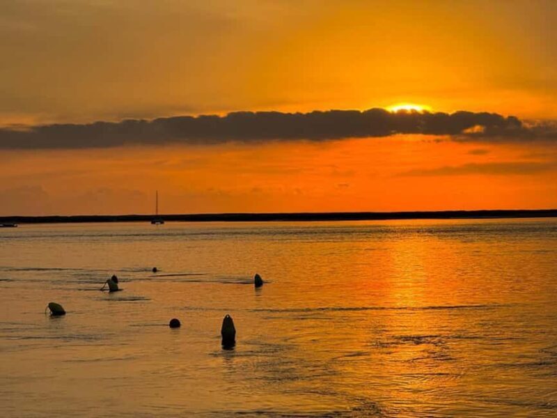 From Olhão: Ria Formosa Sunset Island Boat Tour - The Sum Up