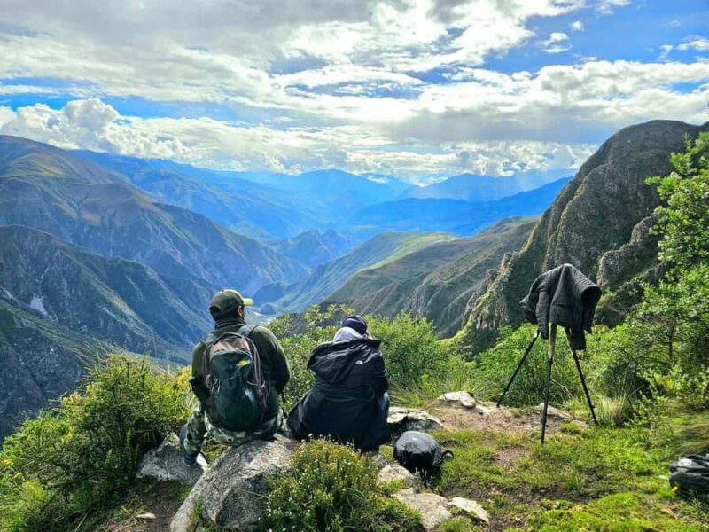 From Ollantaytambo: Abra Malaga Birdwatching Tour - Who Should Consider This Tour?