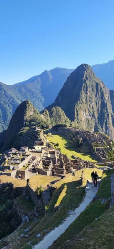 From Ollantaytambo: Machu Picchu Birding Private Tour - Who This Tour Is Best For