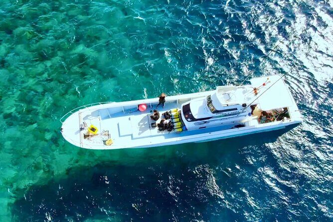 From Onna Village (Maeda Fishing Port)!Fishing and Trolling | Fully Chartered Boat Plan (3-Hour/6-Hour Course) - Introduction: A Fishing Adventure in Onna Village