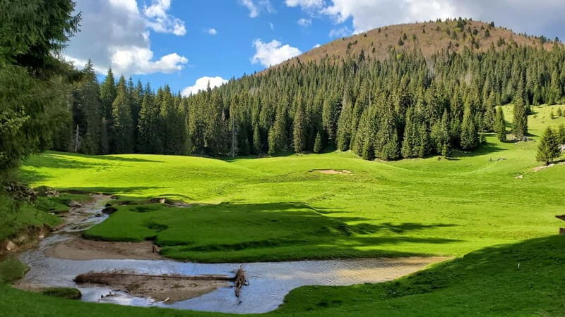 From Oradea: Apuseni Mountains Guided Hiking Tour - Exploring the Apuseni Mountains from Oradea