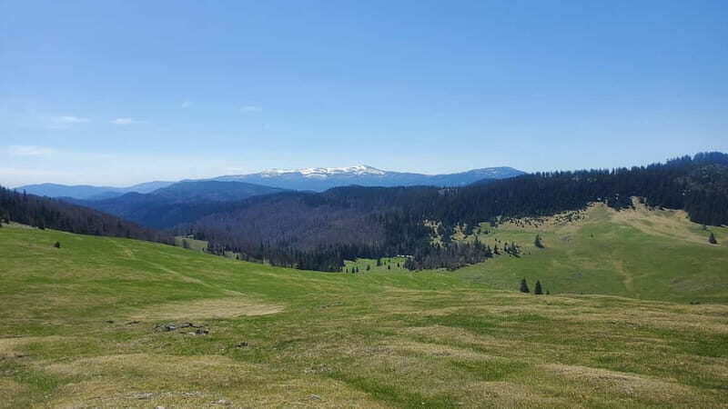 From Oradea: Apuseni Mountains Guided Hiking Tour - What To Bring and Tips for Travelers