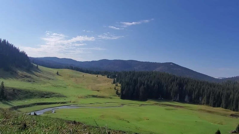 From Oradea: Apuseni Mountains Guided Hiking Tour - Who Will Love This Tour?