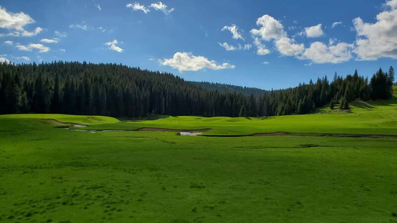From Oradea: Apuseni Mountains Guided Hiking Tour - The Sum Up
