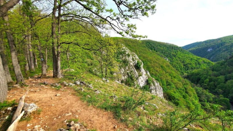 From Oradea: Gorges of Crisul Repede River - Exploring the Gorges of Crisul Repede River: A Detailed Review
