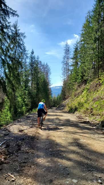 From Oradea: Mountain Bike around Lake Dragan - Final Thoughts
