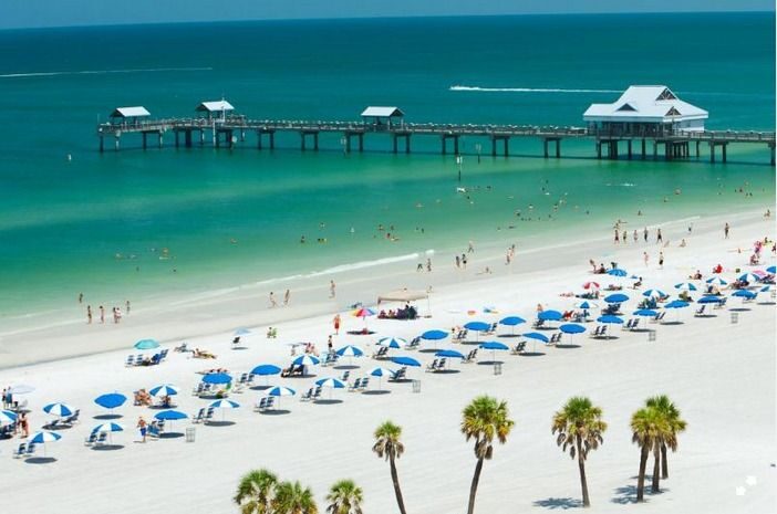 From Orlando: Clearwater Beach and Marine Aquarium Admission - A Detailed Look at the Tour Experience