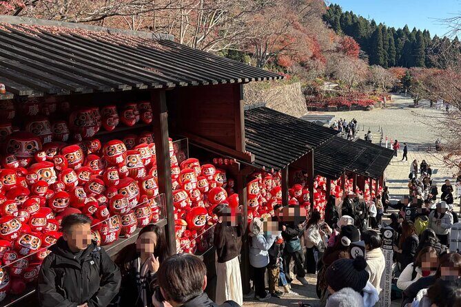 From Osaka: Katsuoji & Kyoto Kiyomizu & Arashiyama w/ Tea option - A detailed look at the Kyoto day tour from Osaka