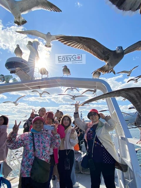 From Osaka/Kyoto: Amanohashidate Day TourIncluding tickets - Who Should Consider This Tour?