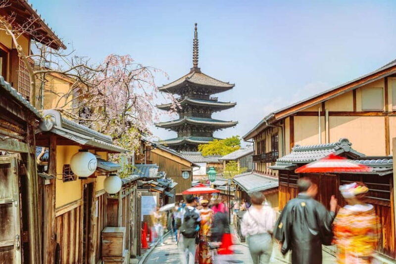 From Osaka: Kyoto and Nara Day Tour with Deer Sightings - Key Points
