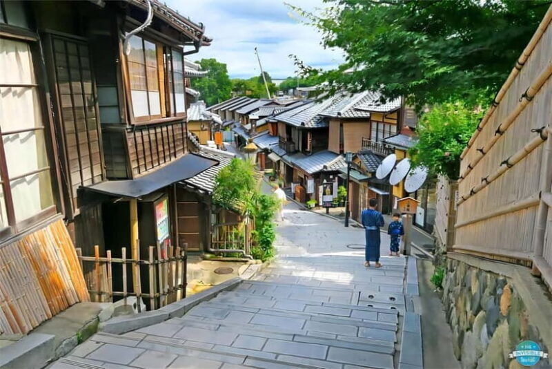 From Osaka: Kyoto and Nara Day Tour with Deer Sightings - Who Will Love This Tour?